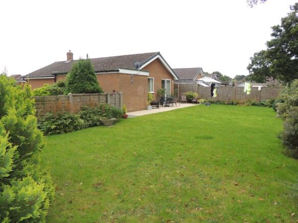 back garden