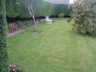 Side Garden