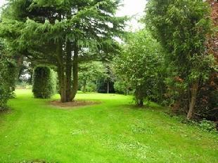 Third view of rear gardens