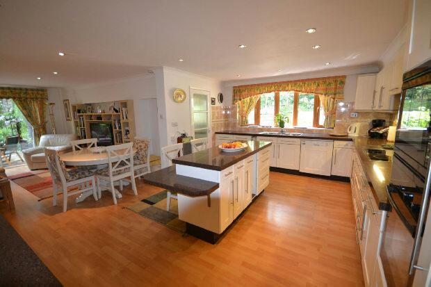 Kitchen/Family Room