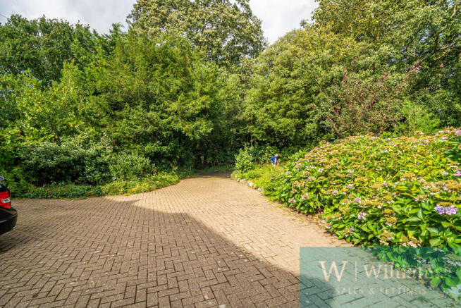 Driveway