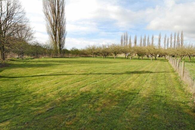 THE ORCHARD