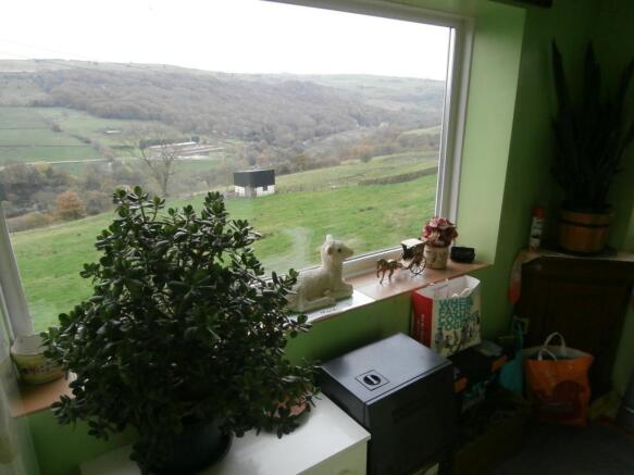 Image 12