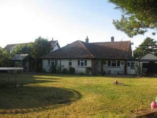 Rear Garden 3