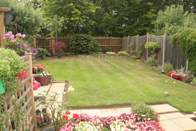 Photo 7