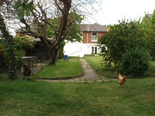 Rear garden towards house