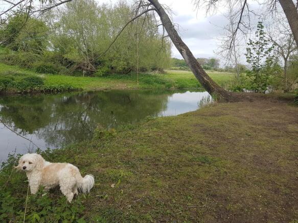 Local Walk to River Avon