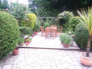 Patio area