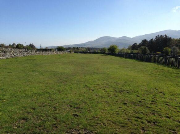 Field 2