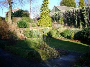 Garden 3