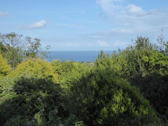 P1070045.jpeg
