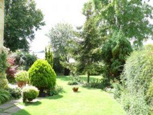 Garden 2