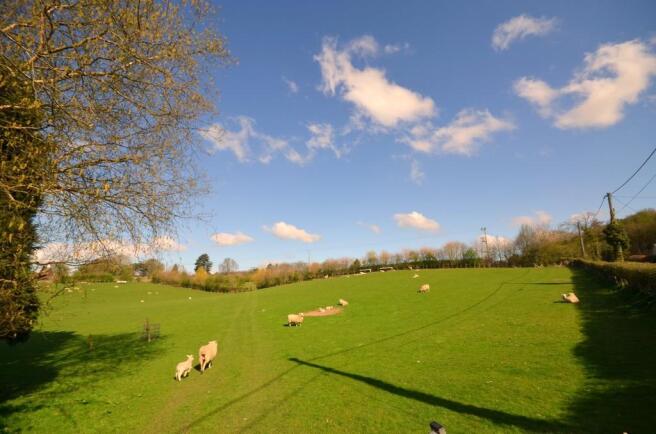 Field Opposite