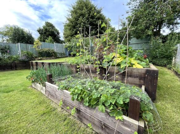 Vegetable Garden