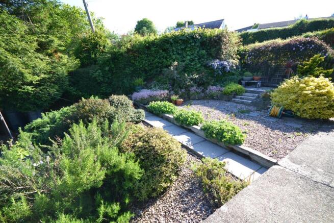 SIDE GARDEN