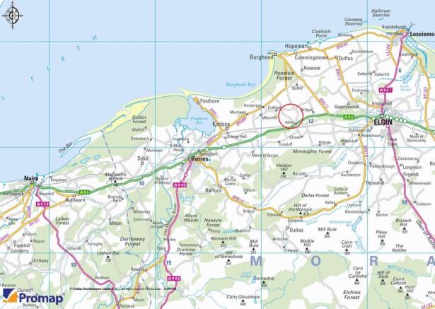 Road Map