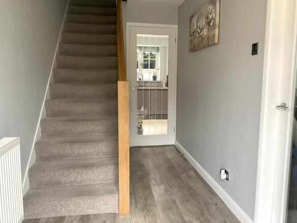 Spot The Dog