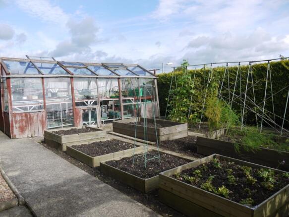 Vegetable Area