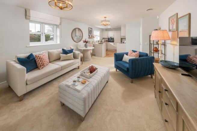 Show home living room