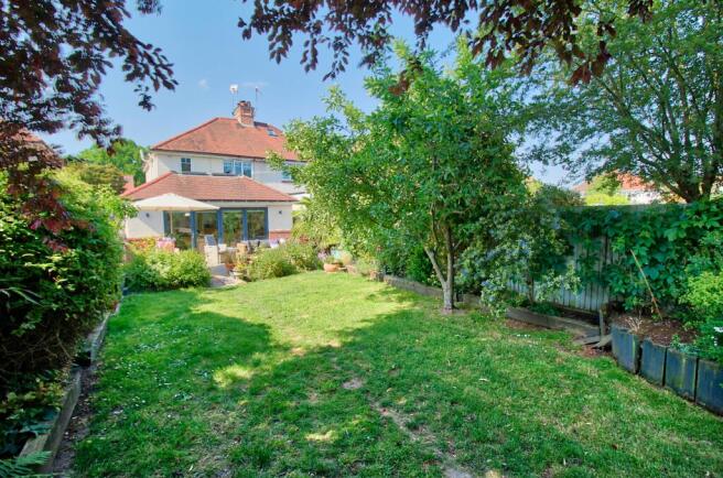 IMG_8077