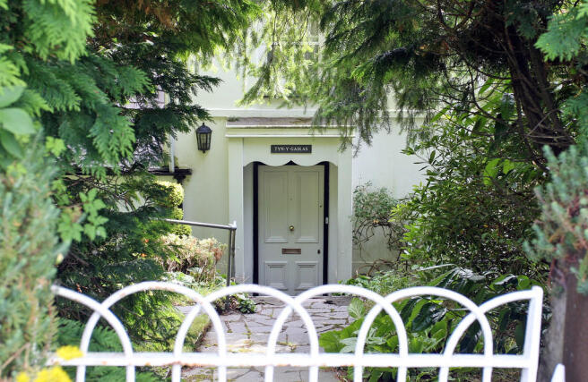 Photo 16
