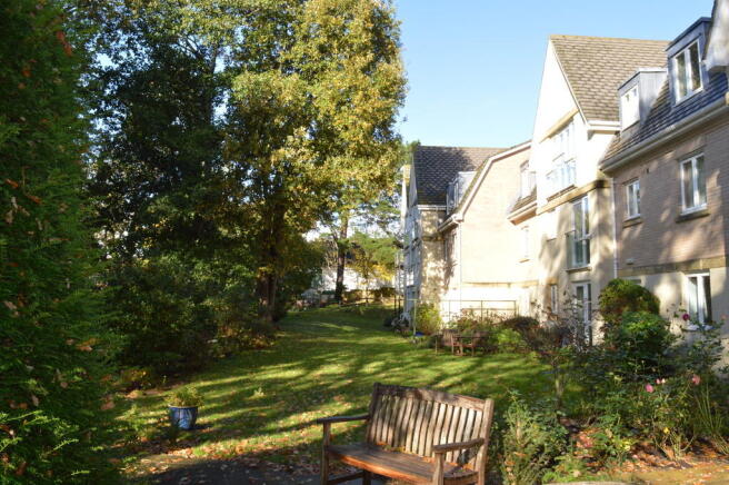 Photo 8
