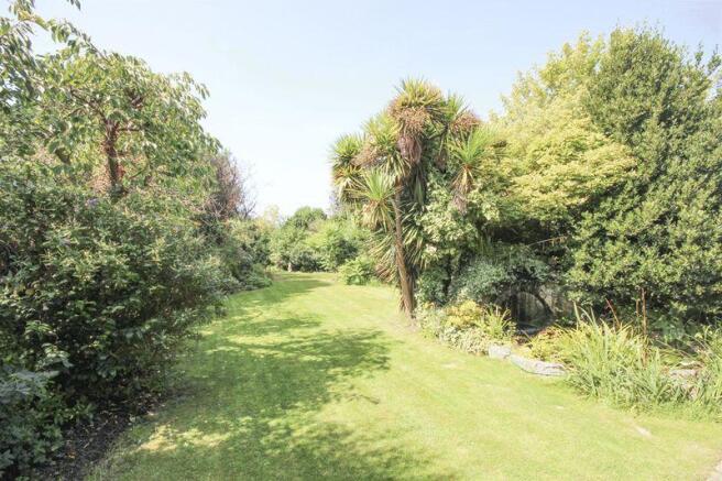 Rear garden