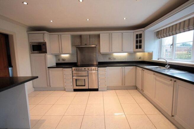 Modern Kitchen