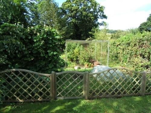 fruit and veg area