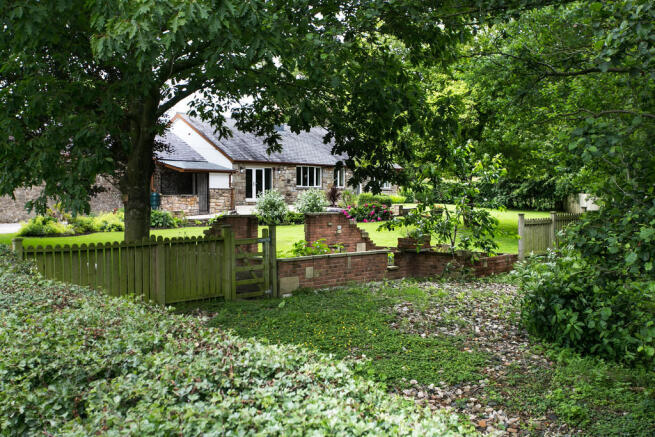 Photo 11
