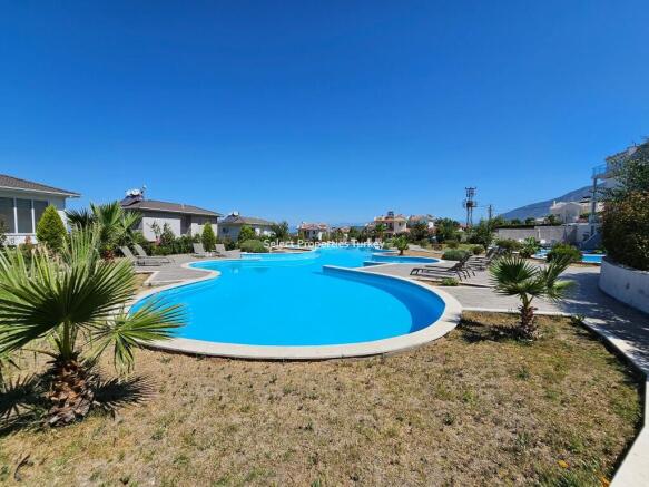 The pool