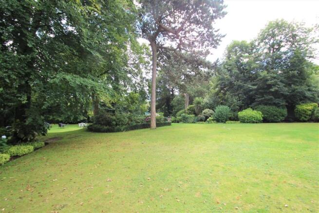 Garden 3.jpg
