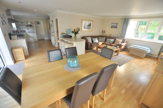 Kitchen/Lounge/Diner