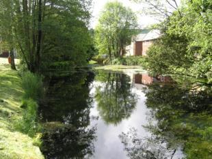 Millpond