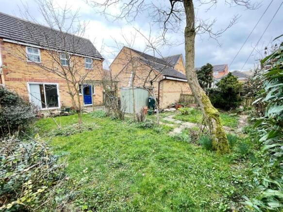 rear garden.jpg