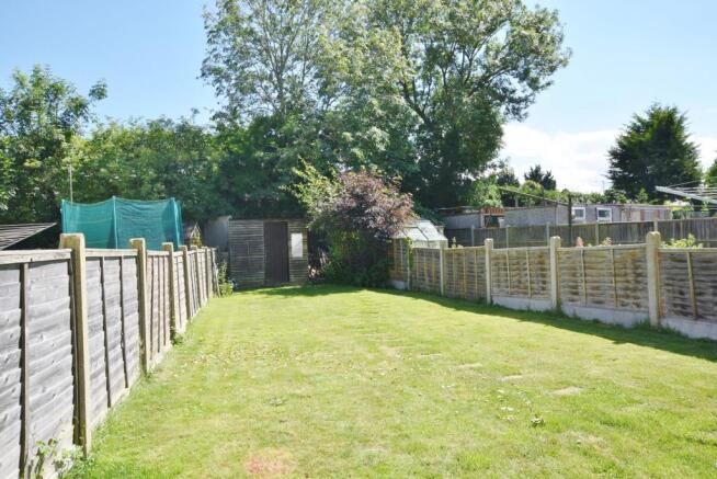 Back garden