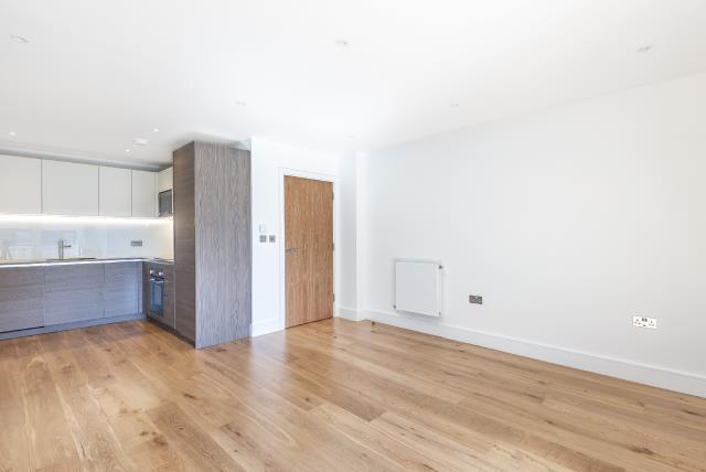 Kitchen/Living Area