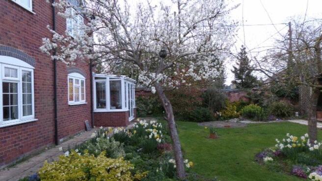 Front garden