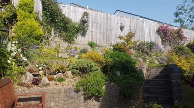 garden.jpg