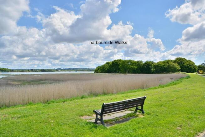 Harbourside walks