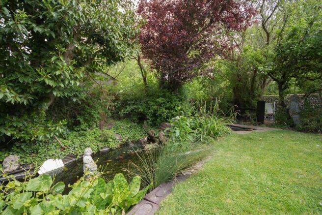 garden shot