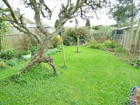 Rear garden