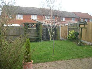Garden View 2
