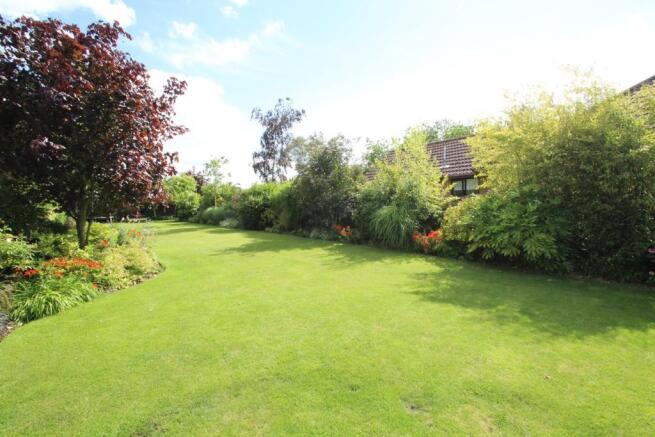 The Garden