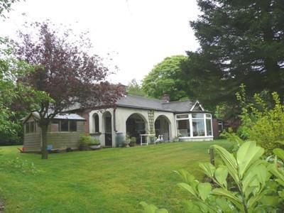 Rear Aspect