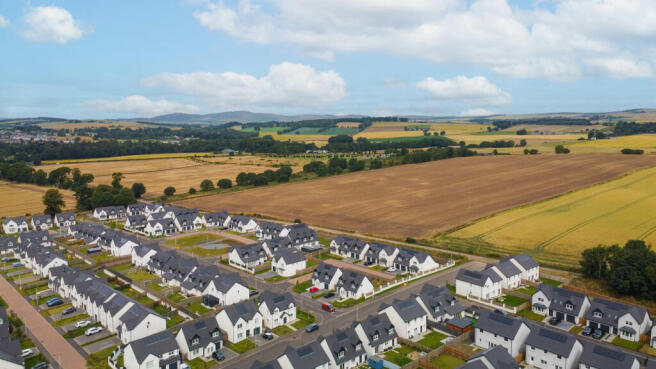 Aerial View of Area