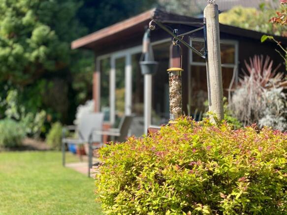 Grange Lane - garden