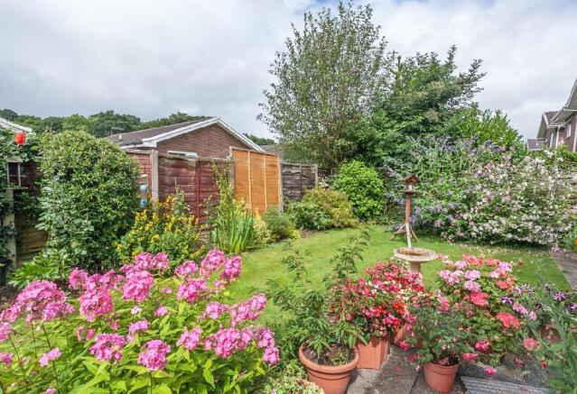 Garden 3.jpg