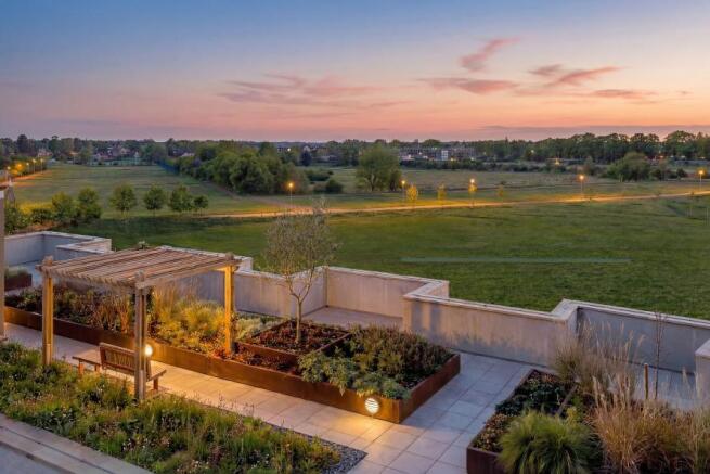 Rooftop Garden at The