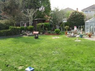 Rear Garden 2